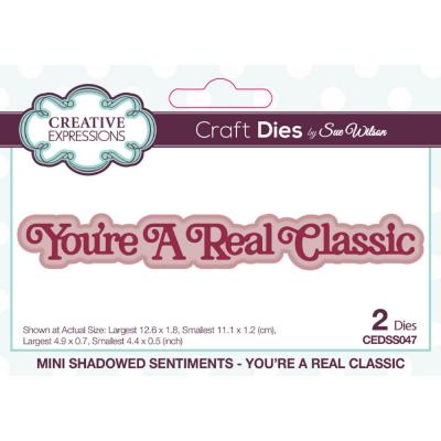 Creative Expressions Sue Wilson Craft Die - You're A Real Classic