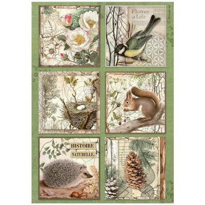 Stamperia Forest - Rice Paper 6 Cards