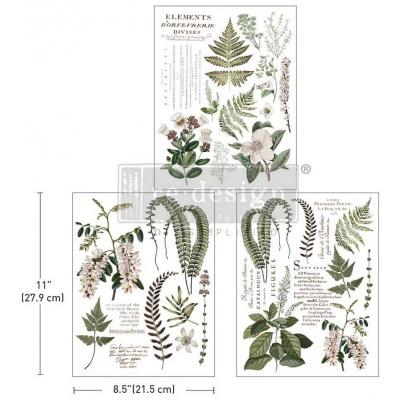 Prima Marketing Re-Design Middy Decor Transfers -  Greenery Grace